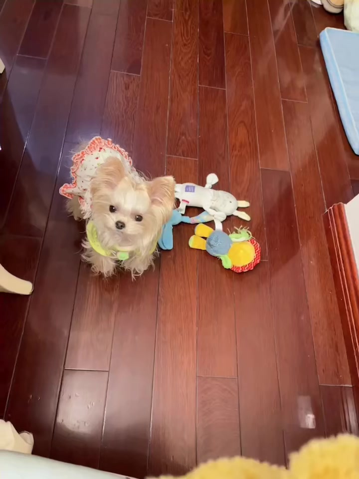 Customer video shared with Elsamilu