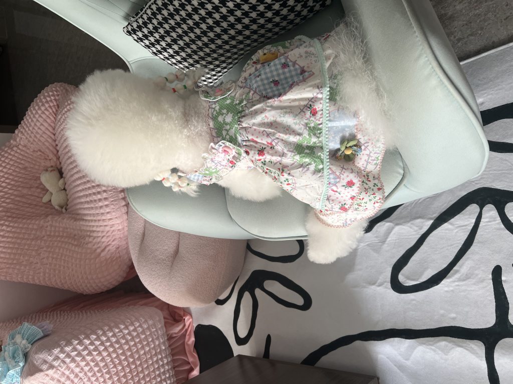 Customer photo shared with Elsamilu