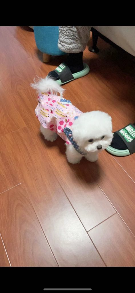 Customer photo shared with Elsamilu