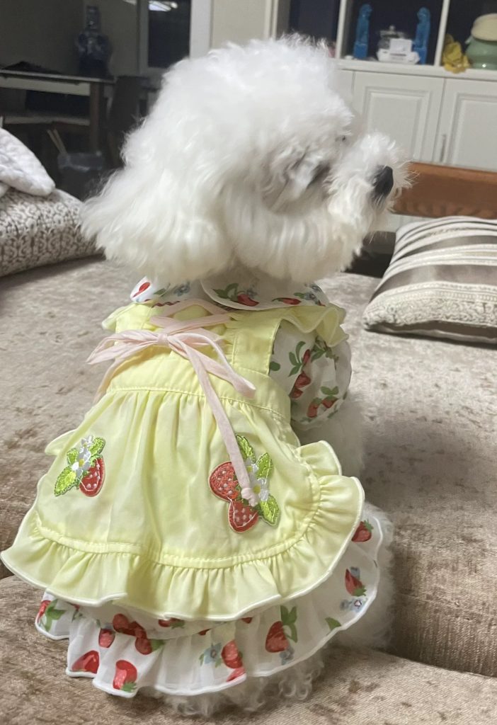 Customer photo shared with Elsamilu