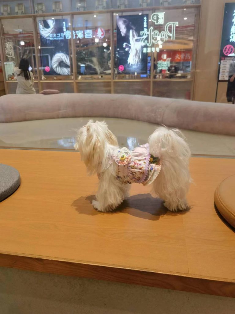 Customer photo shared with Elsamilu