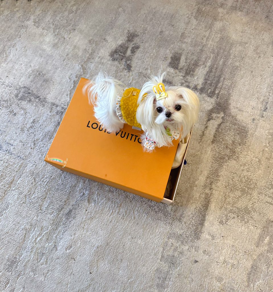 Customer photo shared with Elsamilu