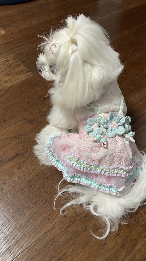 Customer photo shared with Elsamilu