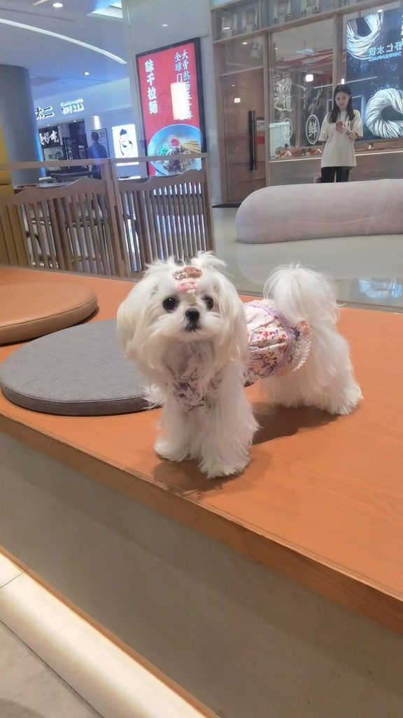 Customer photo shared with Elsamilu