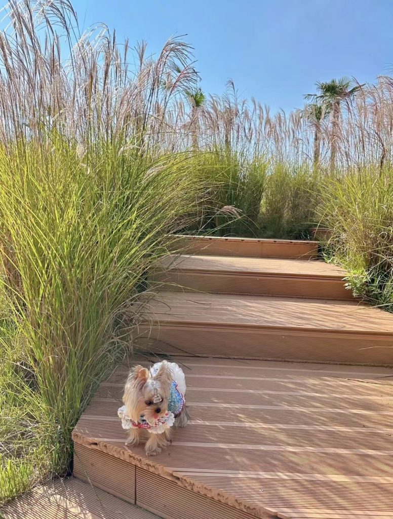 Customer photo shared with Elsamilu