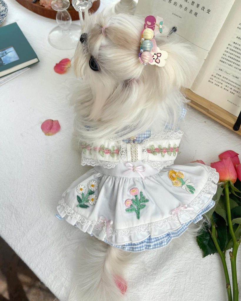 Customer photo shared with Elsamilu