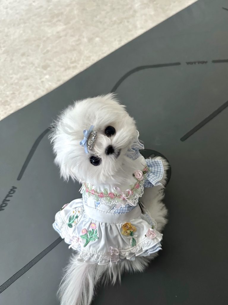 Customer photo shared with Elsamilu