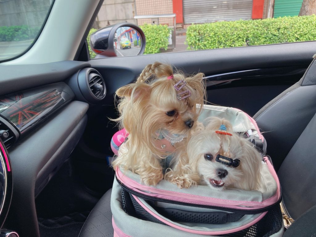 Customer photo shared with Elsamilu