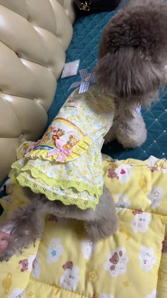 Customer video shared with Elsamilu