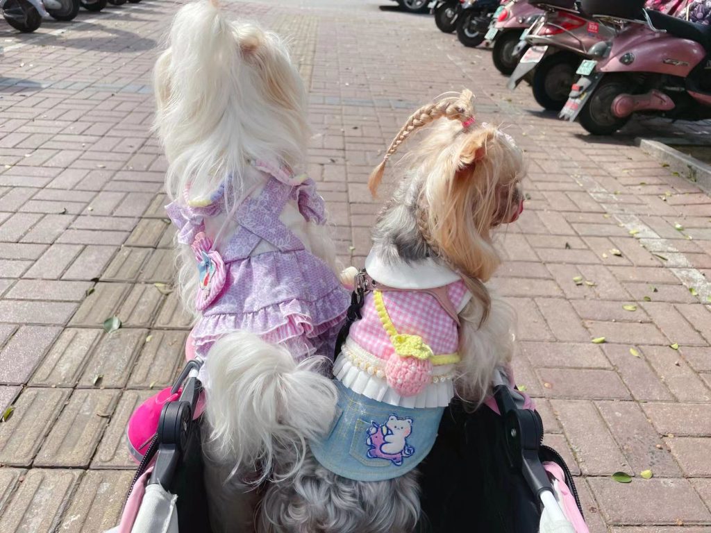 Customer photo shared with Elsamilu
