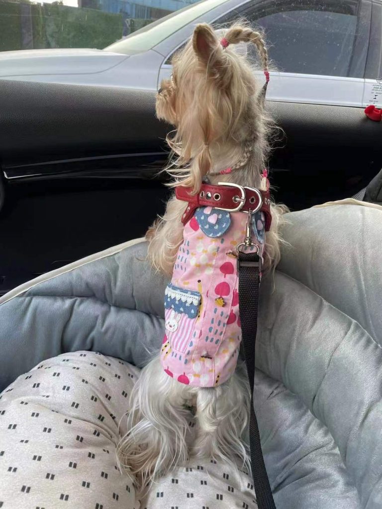 Customer photo shared with Elsamilu