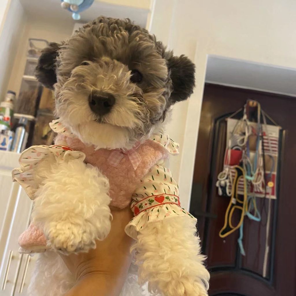 Customer photo shared with Elsamilu