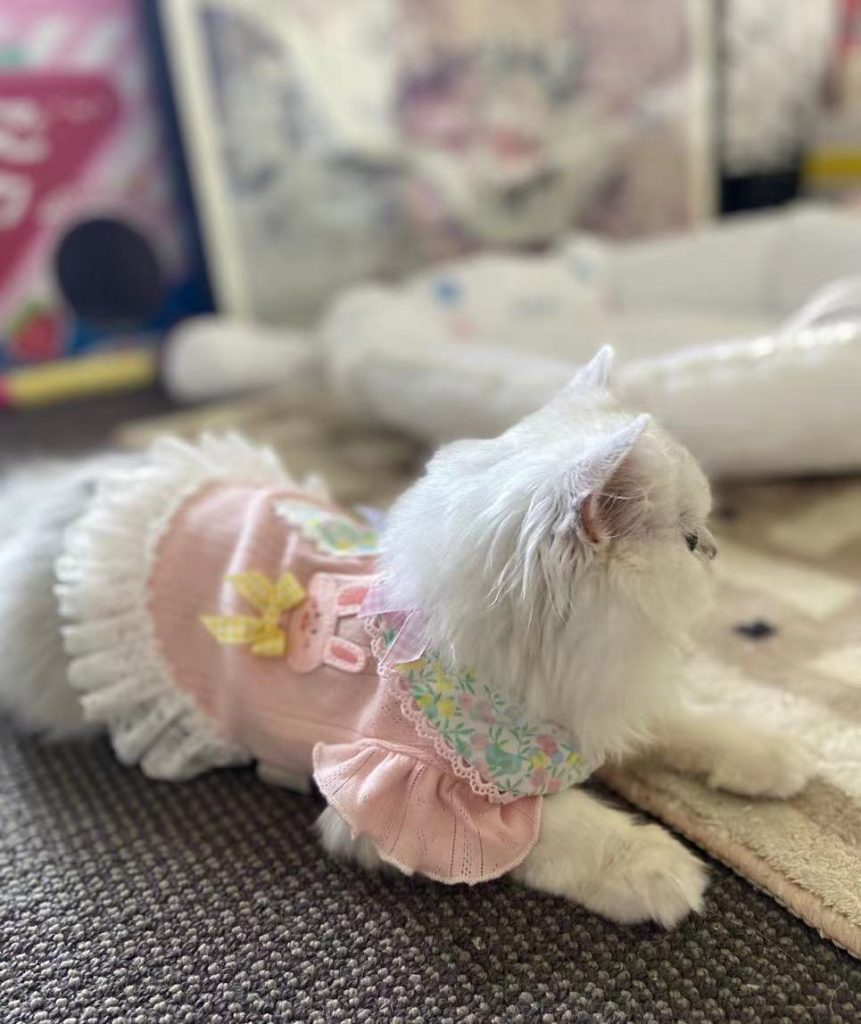 Customer photo shared with Elsamilu