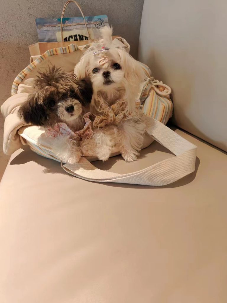 Customer photo shared with Elsamilu