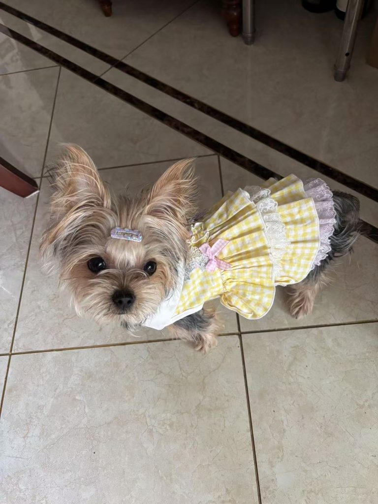 Customer photo shared with Elsamilu