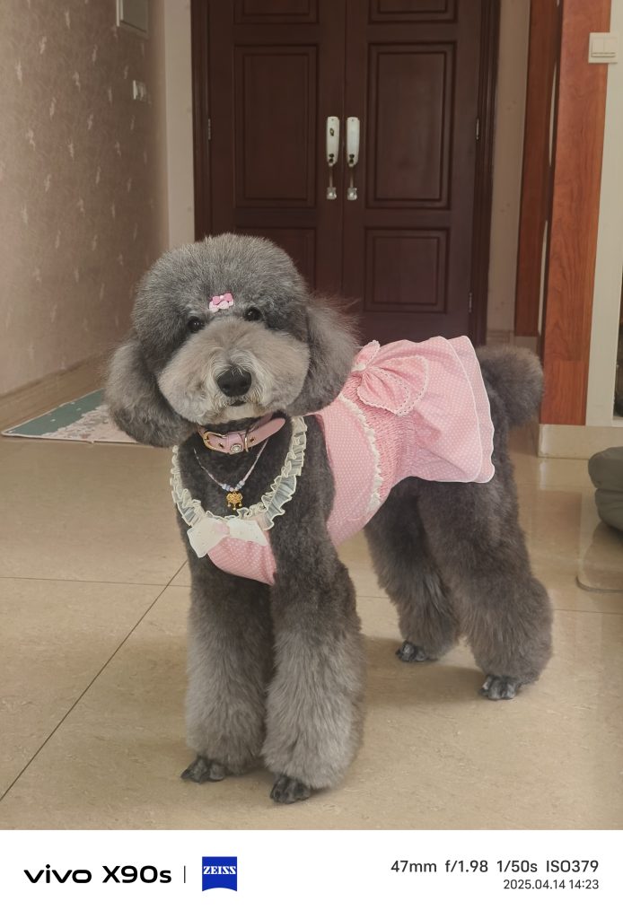Customer photo shared with Elsamilu