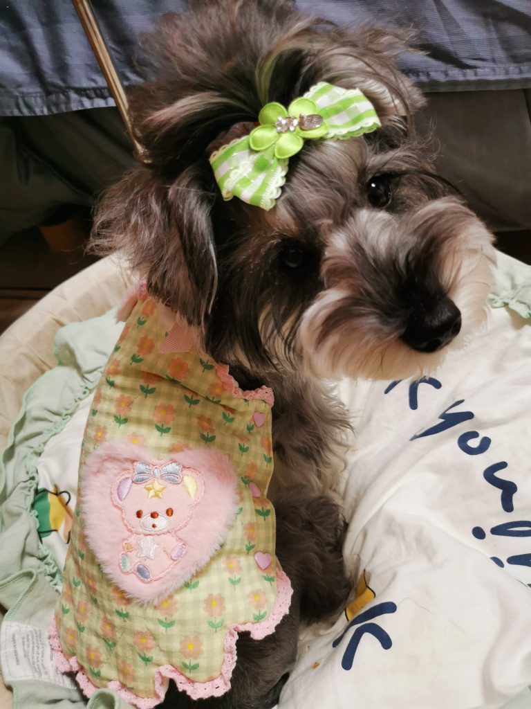Customer photo shared with Elsamilu