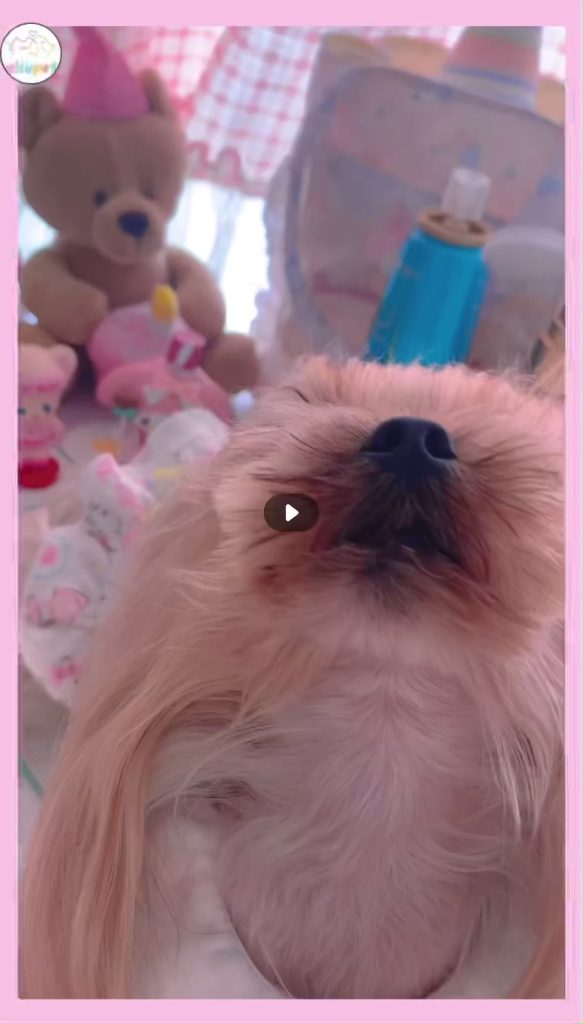 Customer video shared with Elsamilu