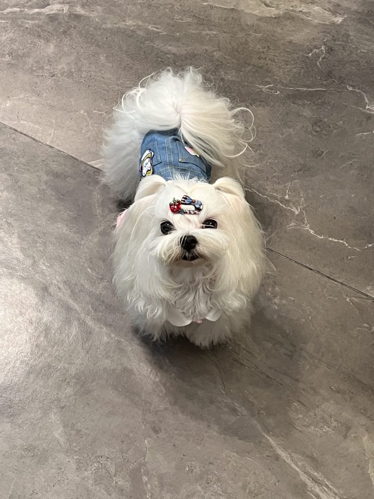 Customer photo shared with Elsamilu
