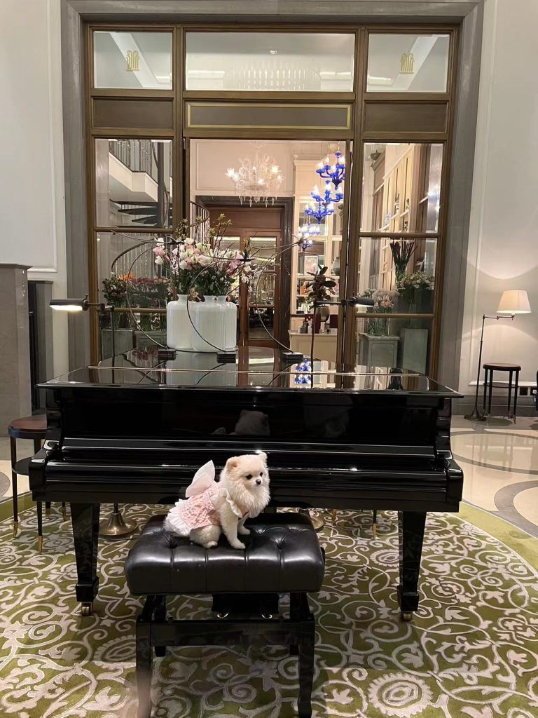 Customer photo shared with Elsamilu