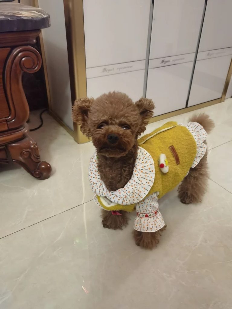 Customer photo shared with Elsamilu