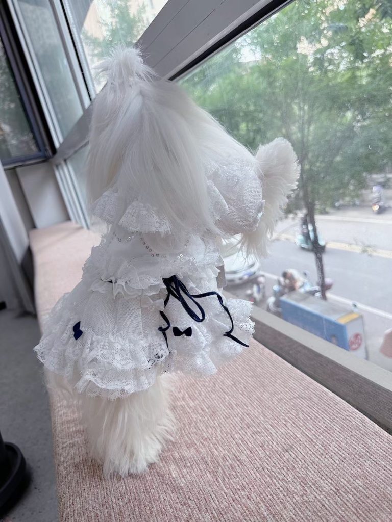 Customer photo shared with Elsamilu