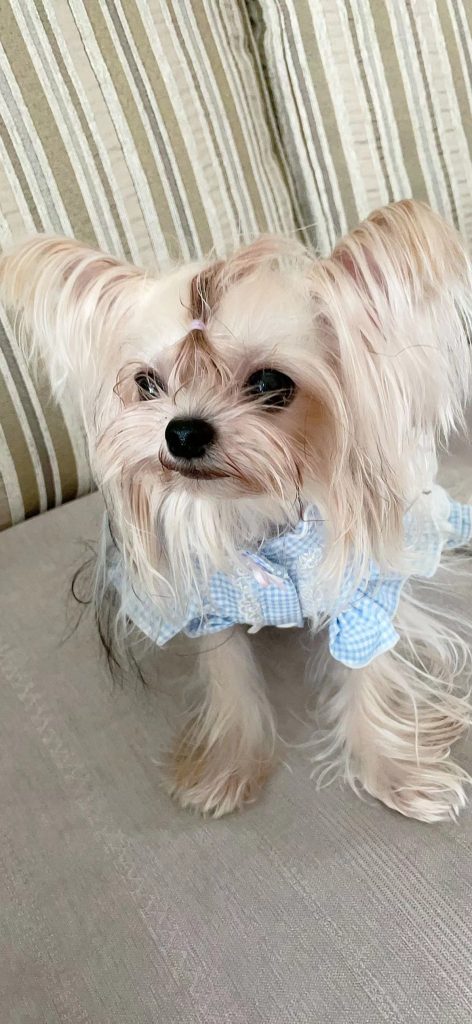 Customer photo shared with Elsamilu