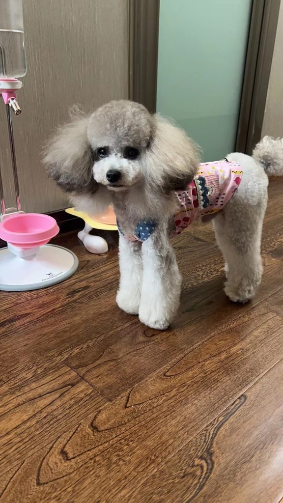 Customer photo shared with Elsamilu