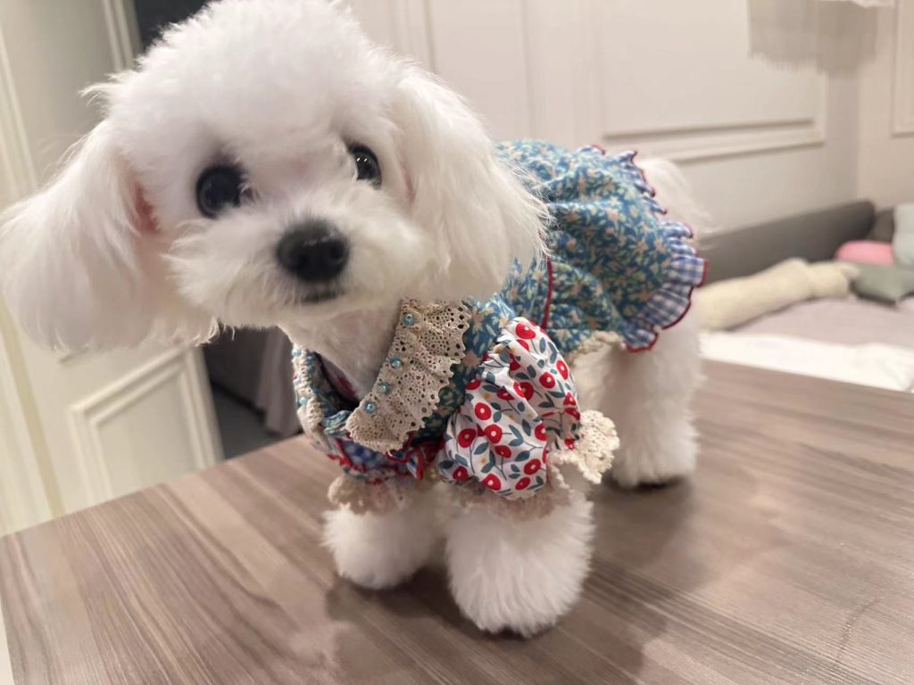 Customer photo shared with Elsamilu