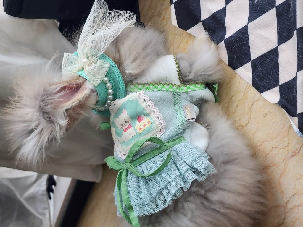 Customer photo shared with Elsamilu