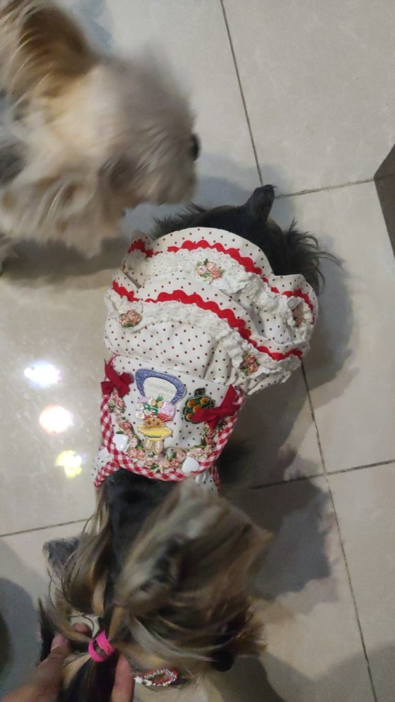 Customer photo shared with Elsamilu