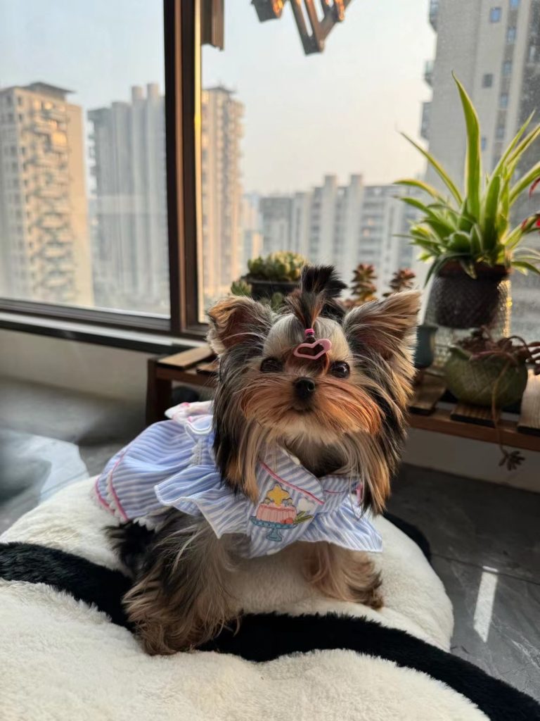 Customer photo shared with Elsamilu