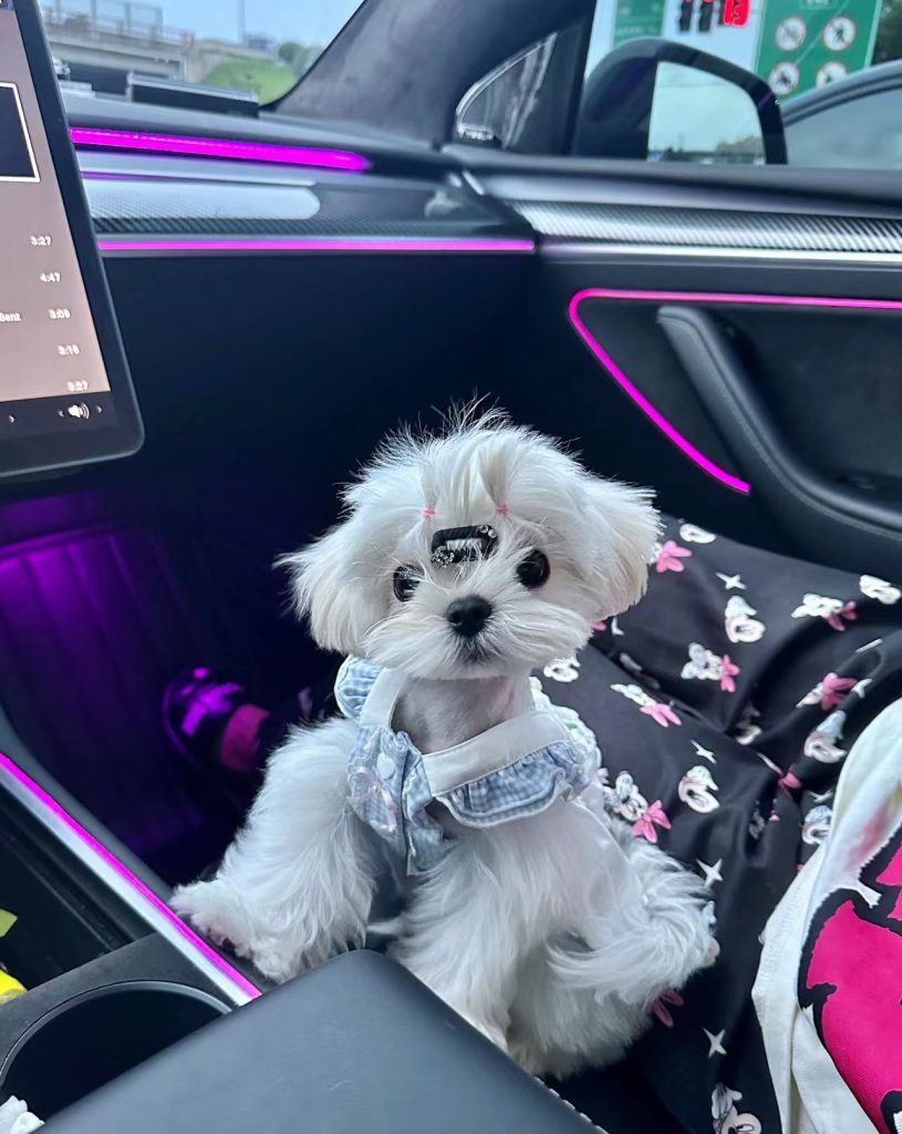 Customer photo shared with Elsamilu