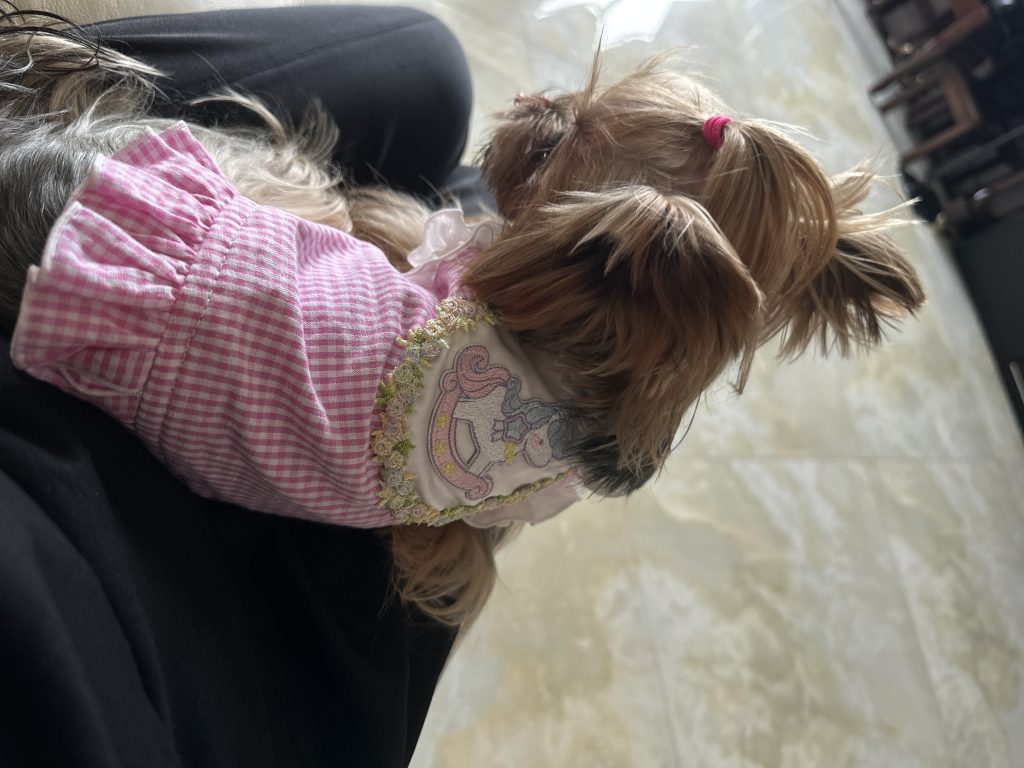 Customer photo shared with Elsamilu