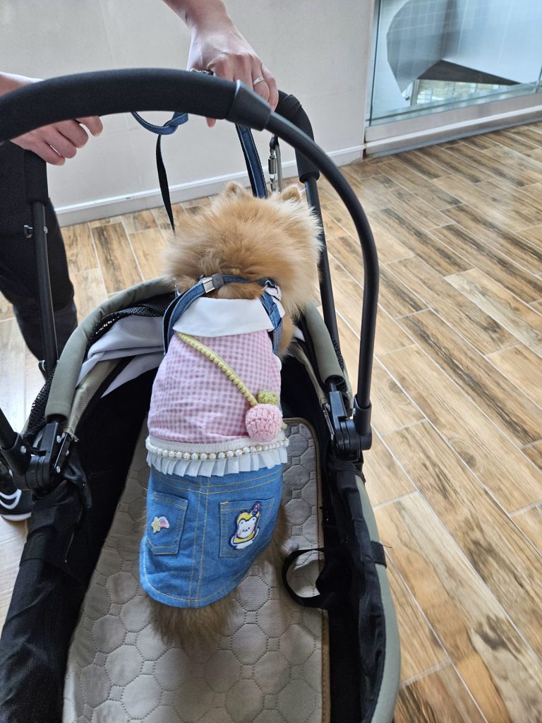 Customer photo shared with Elsamilu