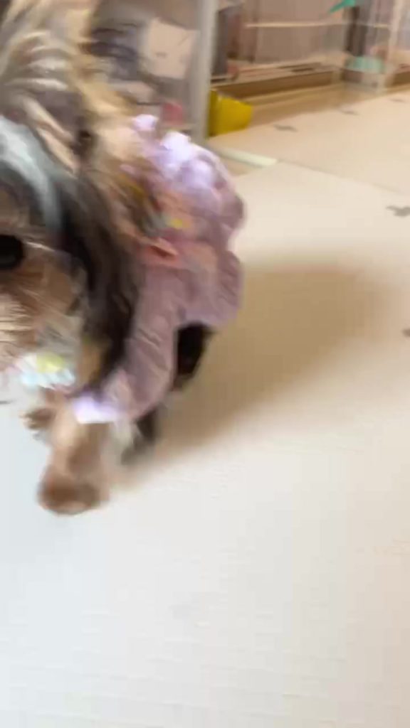 Customer video shared with Elsamilu