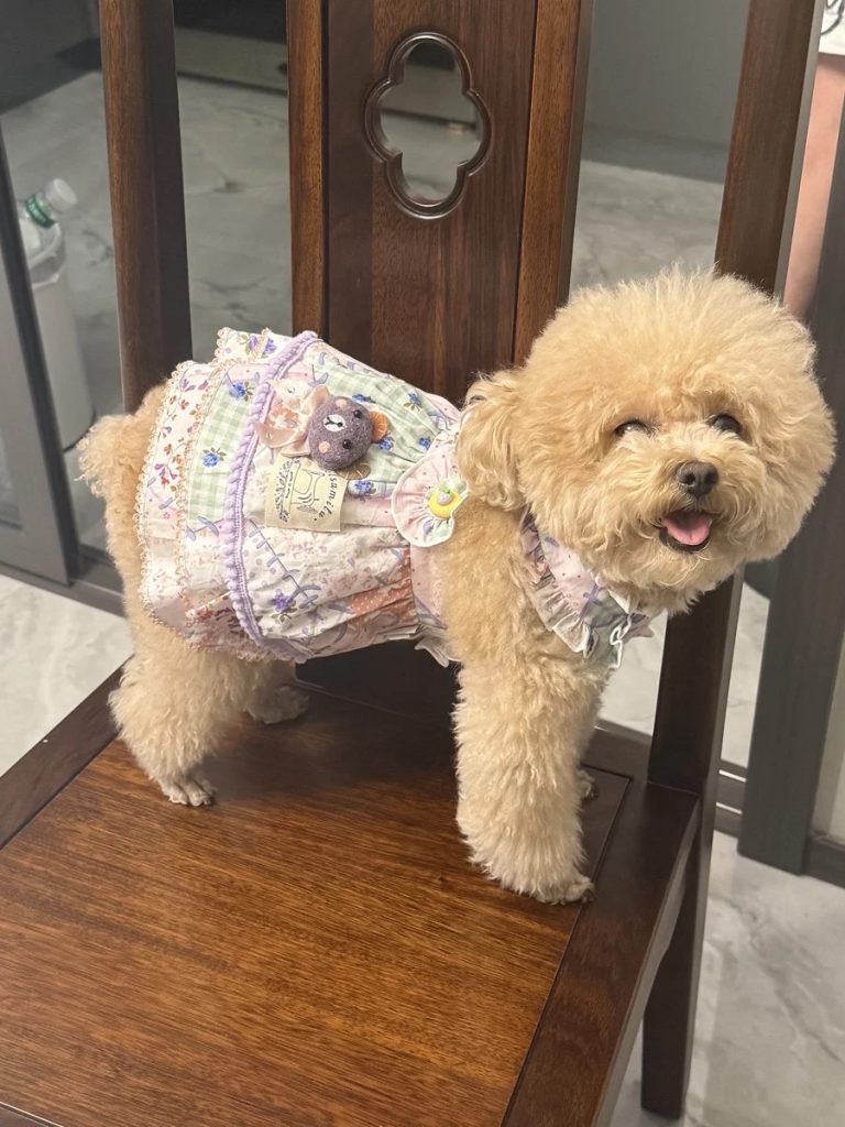 Customer photo shared with Elsamilu