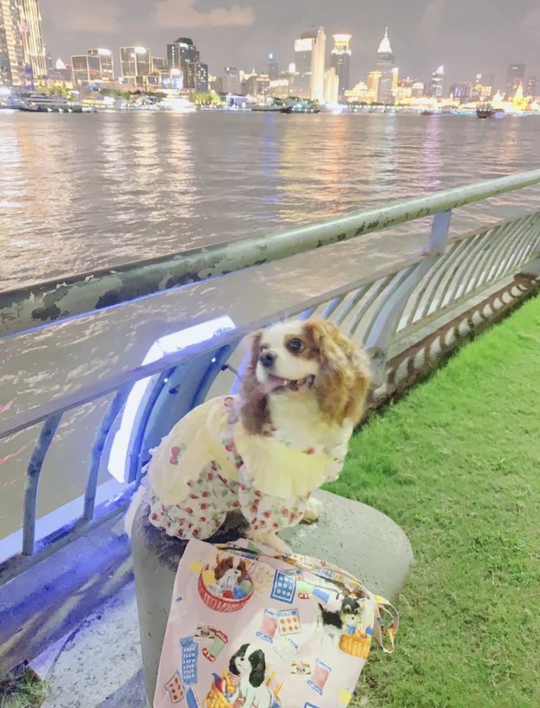 Customer photo shared with Elsamilu