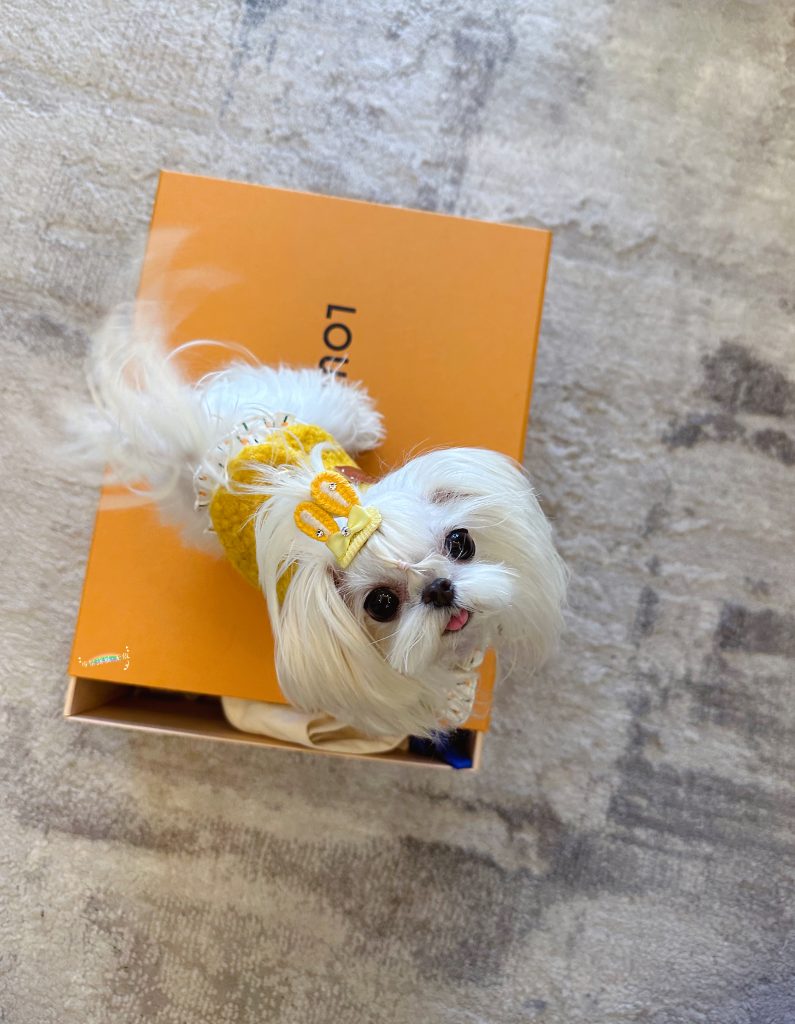 Customer photo shared with Elsamilu