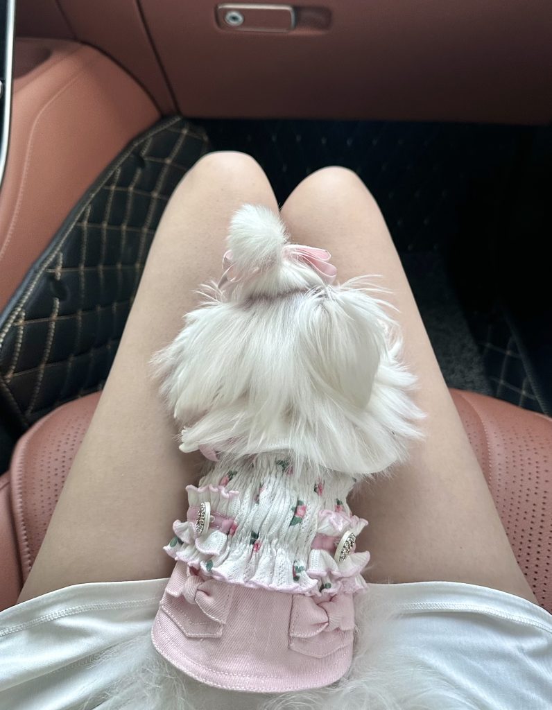 Customer photo shared with Elsamilu