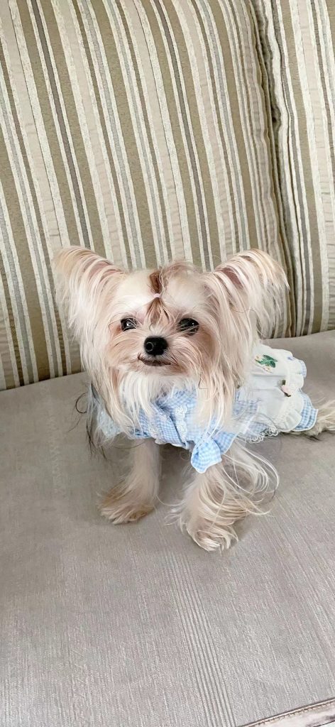 Customer photo shared with Elsamilu