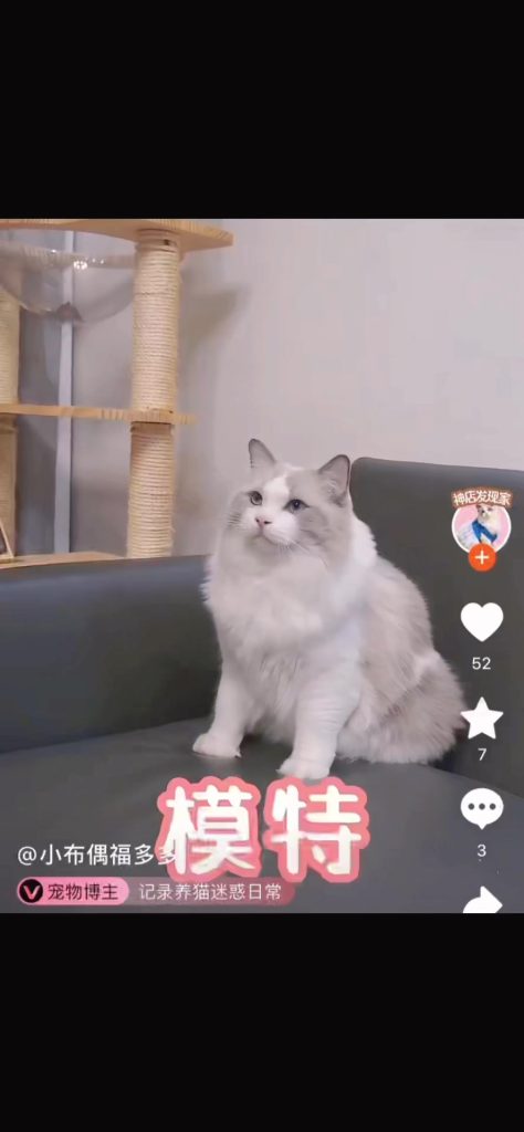 Customer video shared with Elsamilu