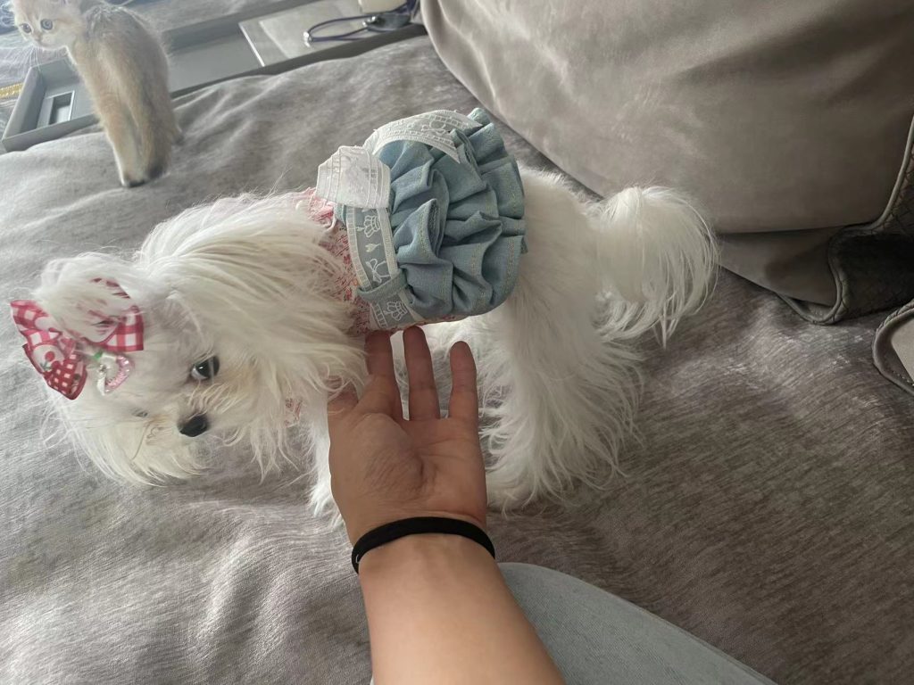 Customer photo shared with Elsamilu