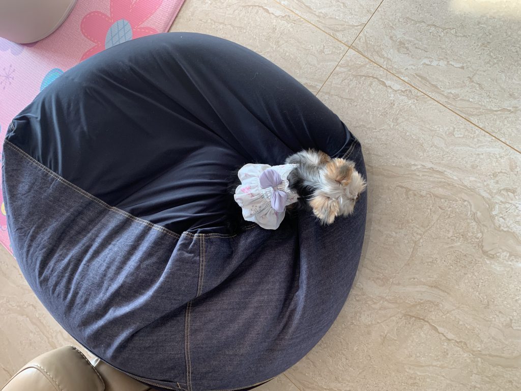 Customer photo shared with Elsamilu