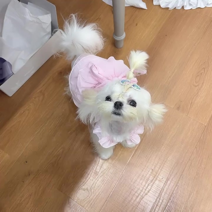 Customer video shared with Elsamilu
