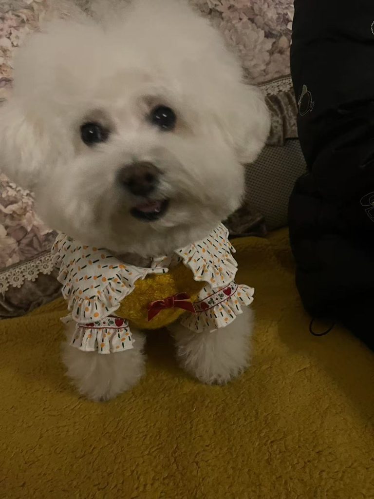 Customer photo shared with Elsamilu