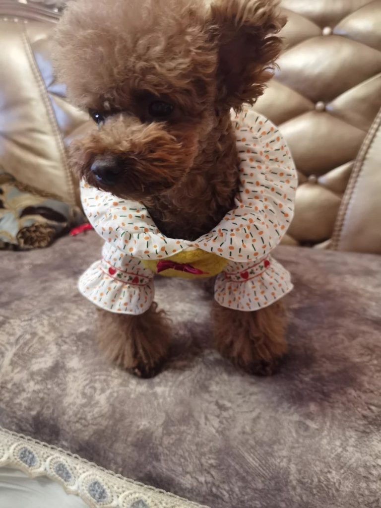 Customer photo shared with Elsamilu