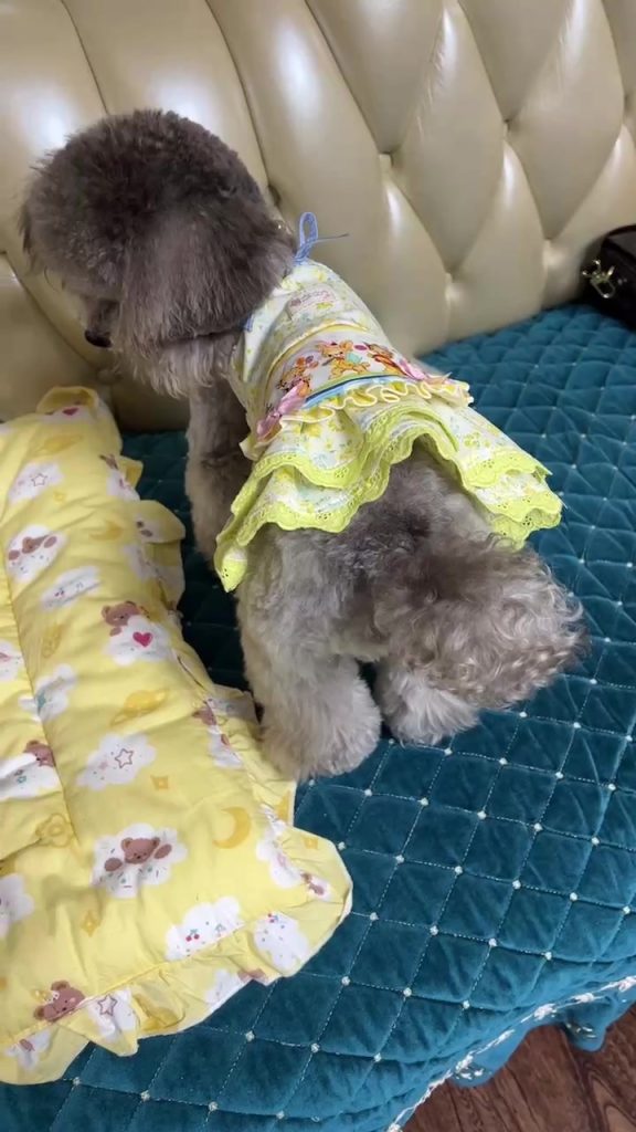 Customer video shared with Elsamilu