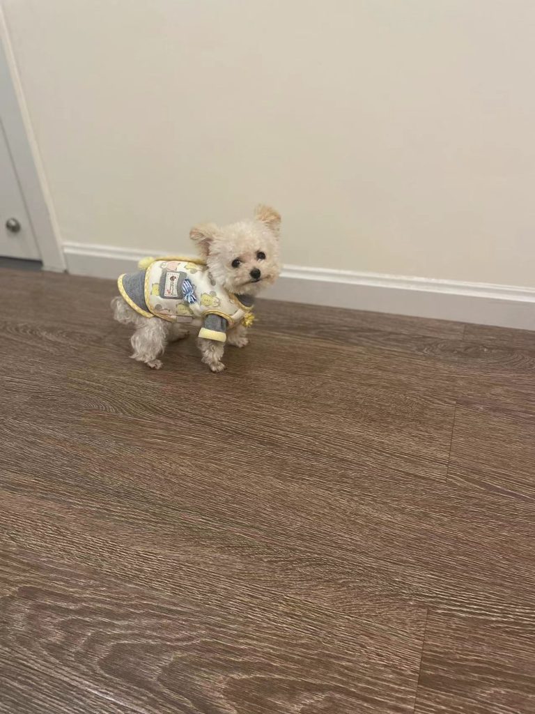 Customer photo shared with Elsamilu