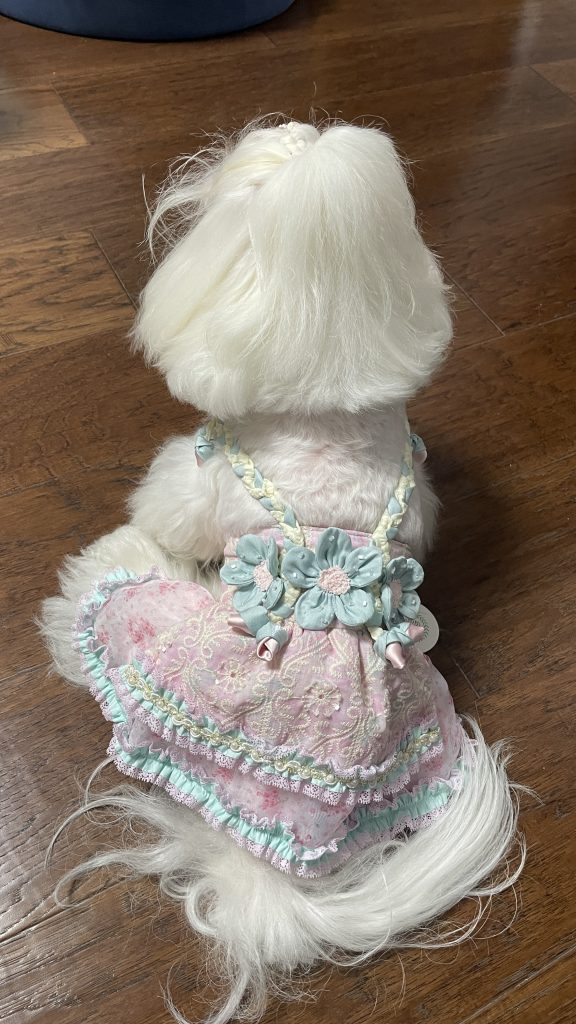 Customer photo shared with Elsamilu